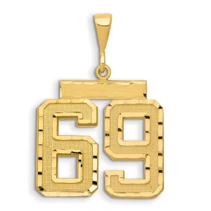 14K Gold Large Diamond-Cut Number 69 Charm with Brushed Finish