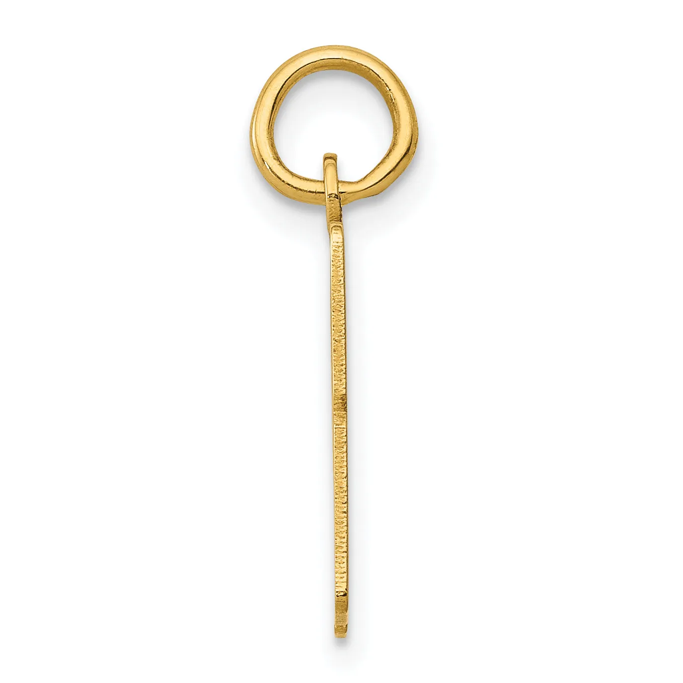 14K Gold Polished Elongated Charm with Laser Cut Design Small