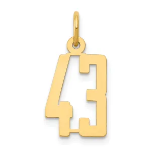 14K Gold Polished Elongated Charm with Laser Cut Design Small