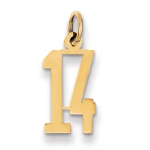 14K Gold Polished Elongated Charm with Laser Cut Detail Small