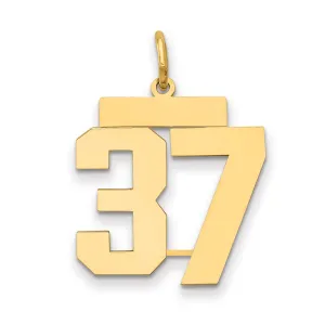14K Gold Polished Number 37 Charm with Laser-Cut Design