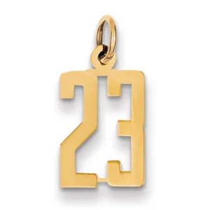 14K Gold Polished Small Elongated 23 Charm  Laser Cut Elegant Design