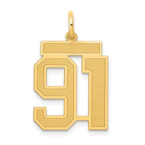 14K Gold Satin Finish Number 91 Charm with Brushed Texture