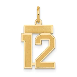 14K Gold Satin Number 12 Charm with Brushed Finish  Small & Elegant
