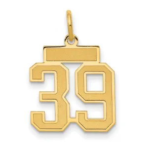 14K Gold Satin Number 39 Charm with Brushed Finish Small