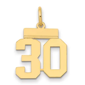 14K Gold Small Polished Number 30 Charm with Laser Cut Design
