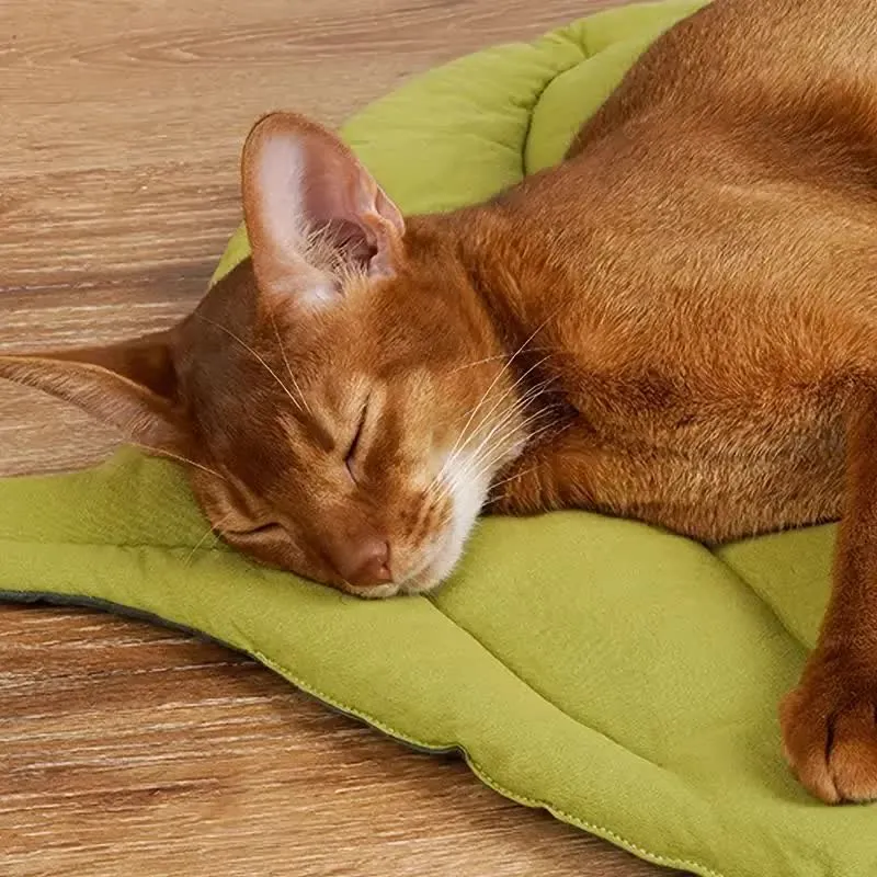 2 Pcs Yellow Leaf Pet Sleeping Mat | Dog Floor Pad | Cat Bed | Durable & Comfortable Design