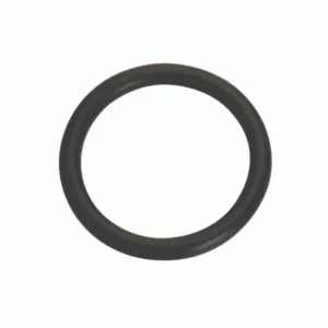 Champion 6mm (I.D.) x 2mm Metric O-Ring -10pk