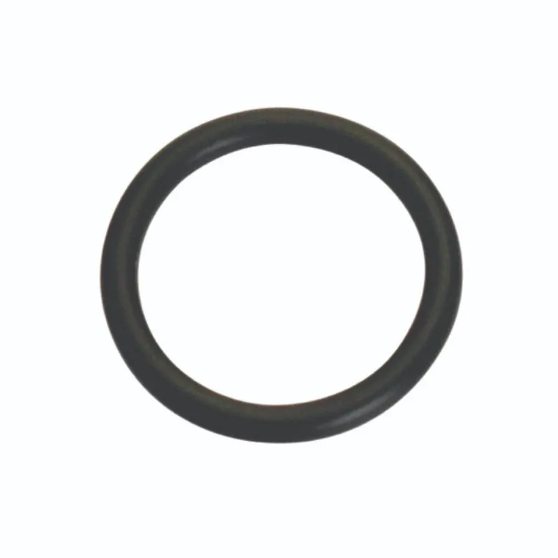 Champion 6mm (I.D.) x 2mm Metric O-Ring -10pk