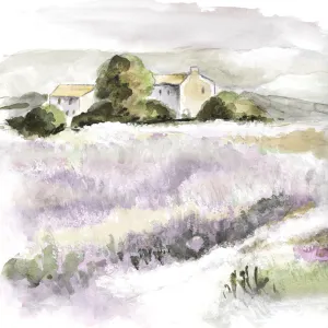 Elegant Lavender II