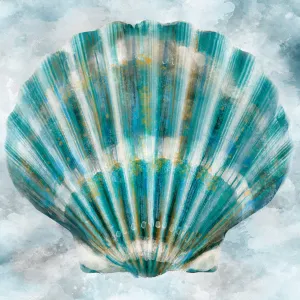 Elegant Shells III