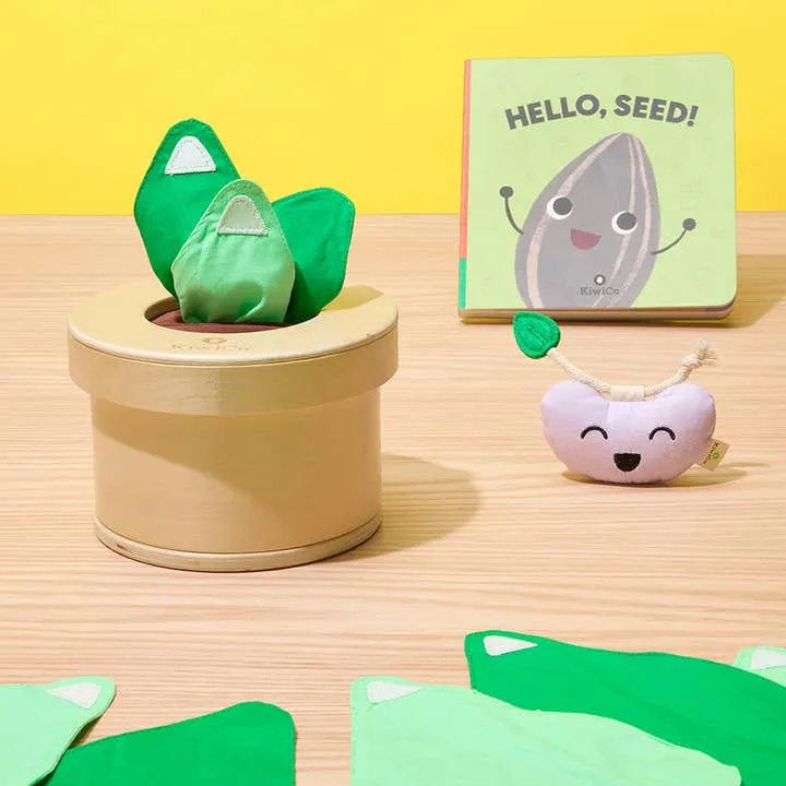 Growing Seeds Tissue Box Toy by KiwiCo