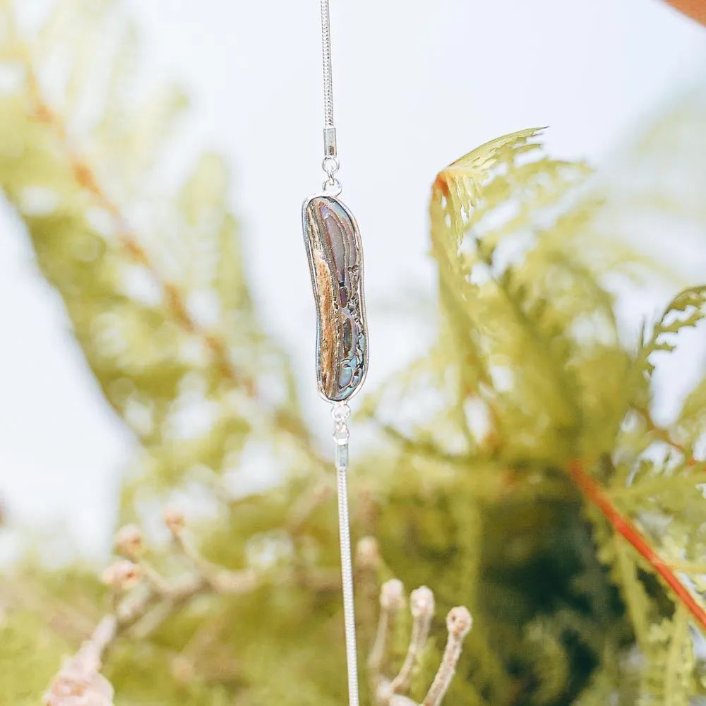 Iwi Paua Natural Natural Sterling Silver Bracelet