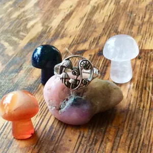 Magical Mushroom Rings