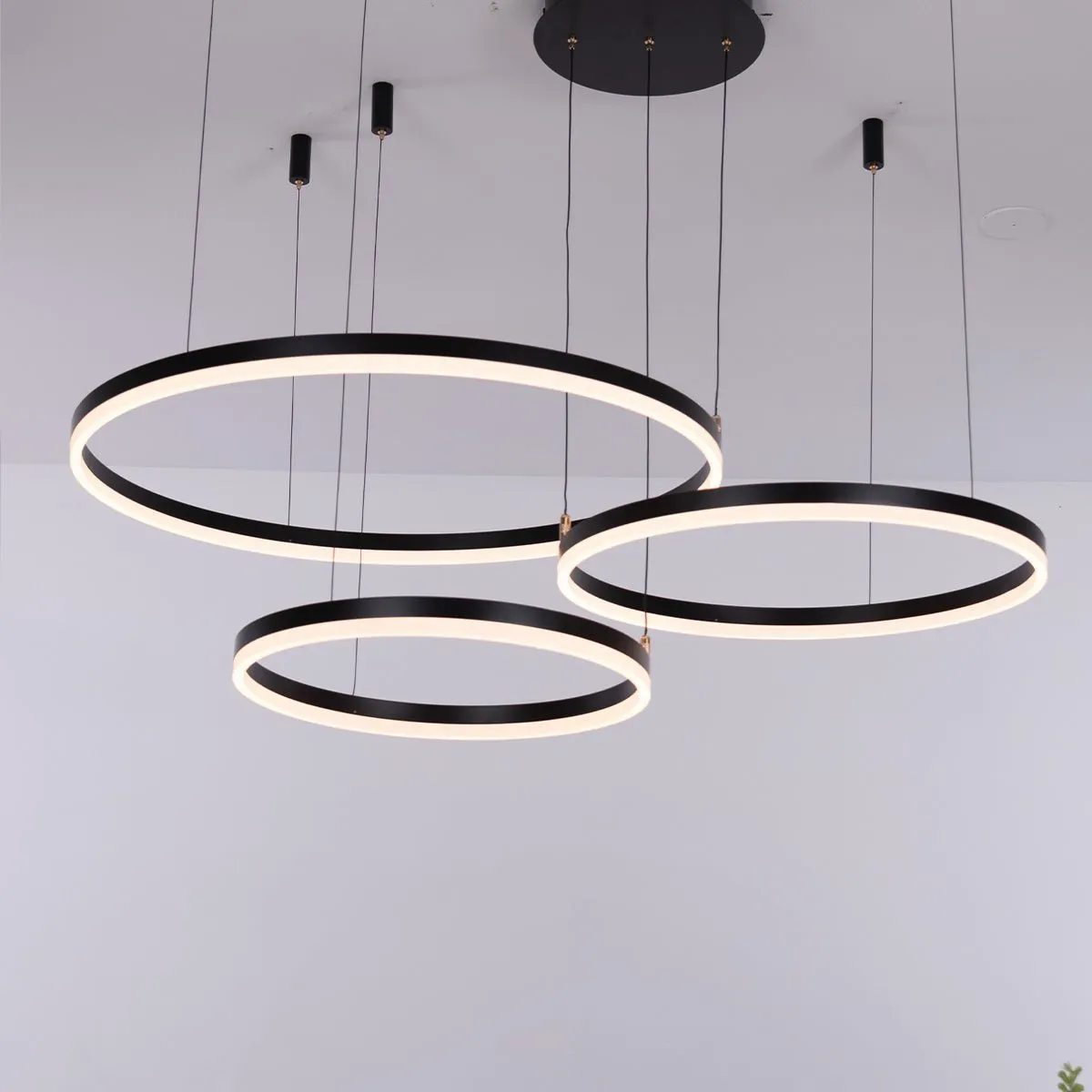 Nordic Ceiling Light Rings • Black