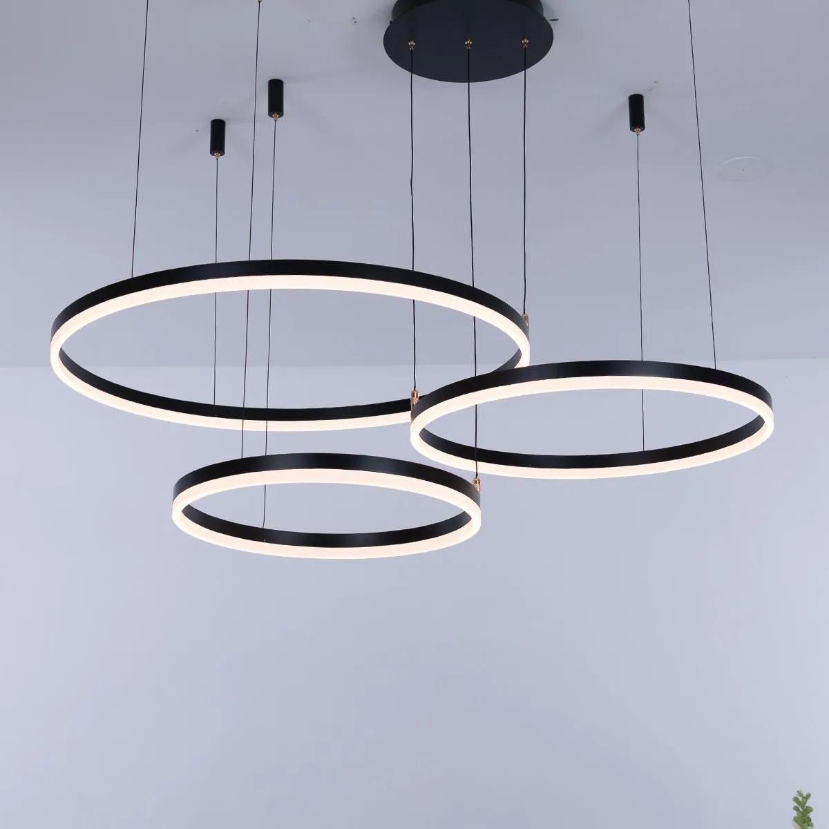 Nordic Ceiling Light Rings • Black