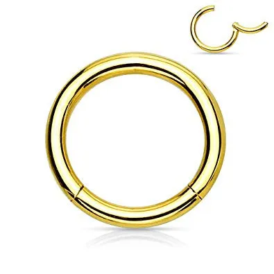 Pair of 316L Surgical Steel Hinged Segment WildKlass Rings