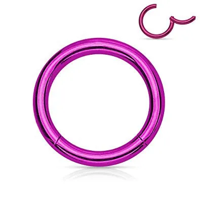 Pair of 316L Surgical Steel Hinged Segment WildKlass Rings