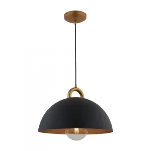 Pantheon-1-Light Pendant-15.75"-Black/Rust Brass
